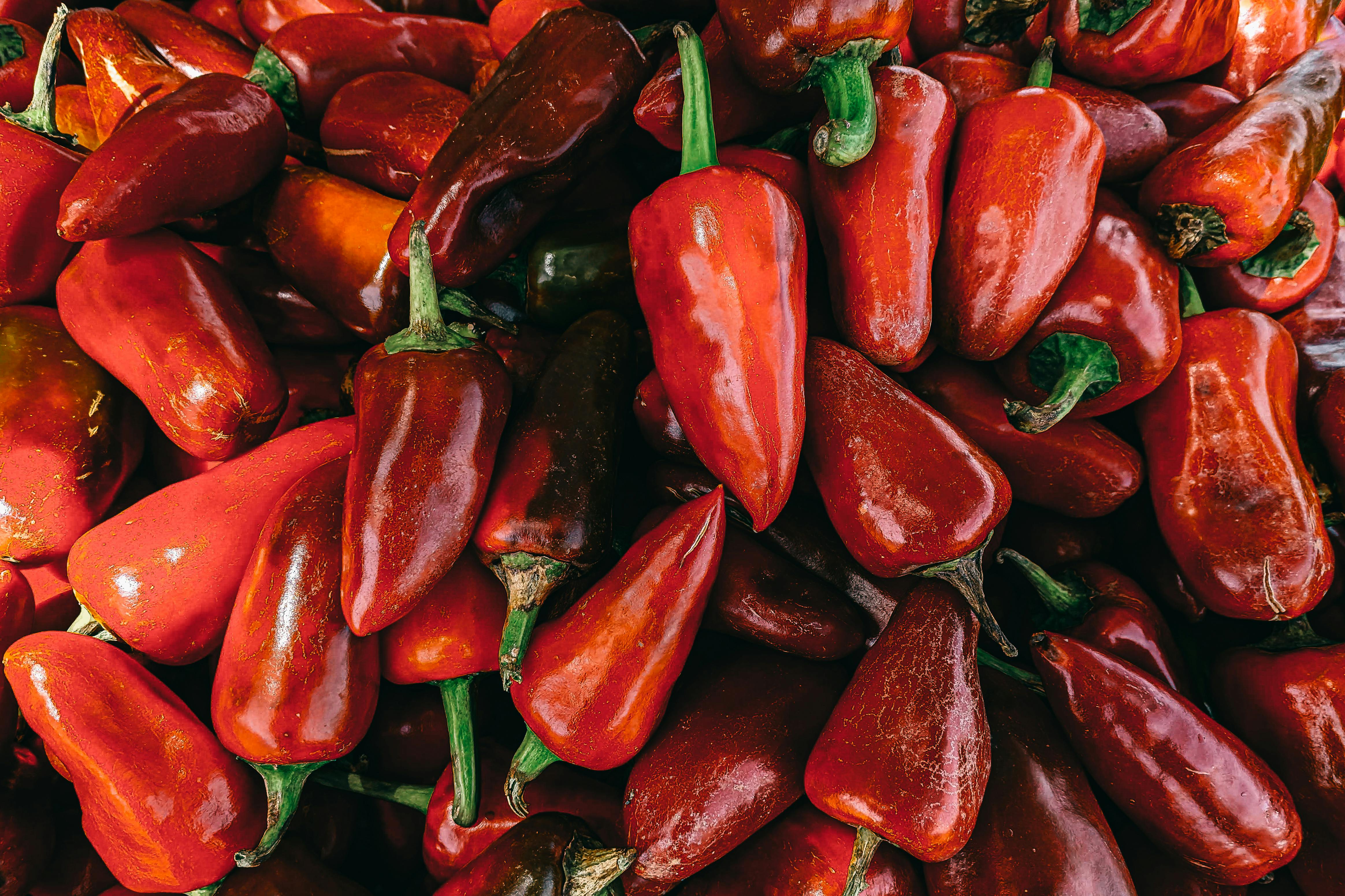 Fresh Chili Peppers